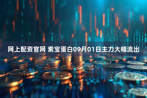 网上配资官网 索宝蛋白09月01日主力大幅流出