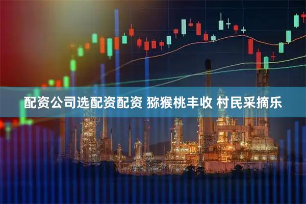 配资公司选配资配资 猕猴桃丰收 村民采摘乐
