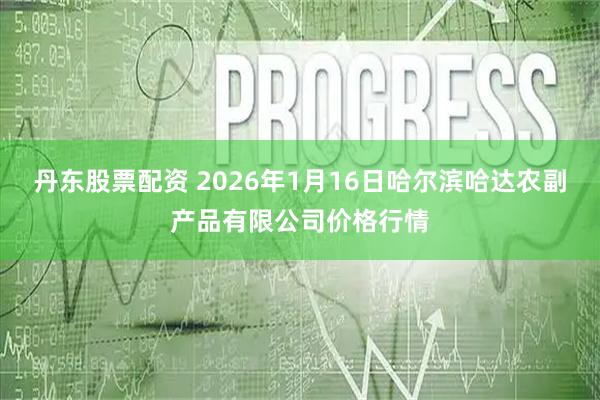 丹东股票配资 2026年1月16日哈尔滨哈达农副产品有限公司价格行情