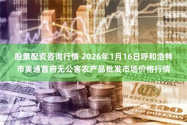 股票配资咨询行情 2026年1月16日呼和浩特市美通首府无公害农产品批发市场价格行情