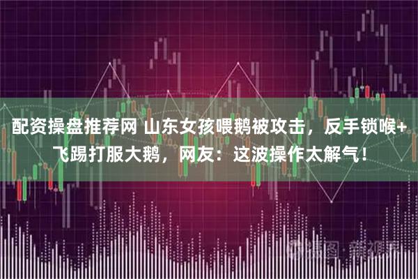 配资操盘推荐网 山东女孩喂鹅被攻击,反手锁喉+飞踢打服大鹅,网友:这波操作太解气!