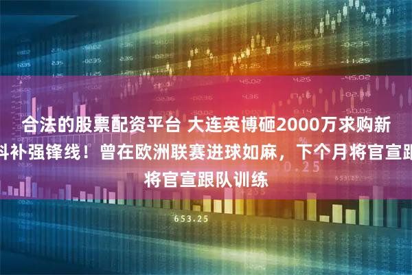 合法的股票配资平台 大连英博砸2000万求购新卡拉斯科补强锋线!曾在欧洲联赛进球如麻,下个月将官宣跟队训练